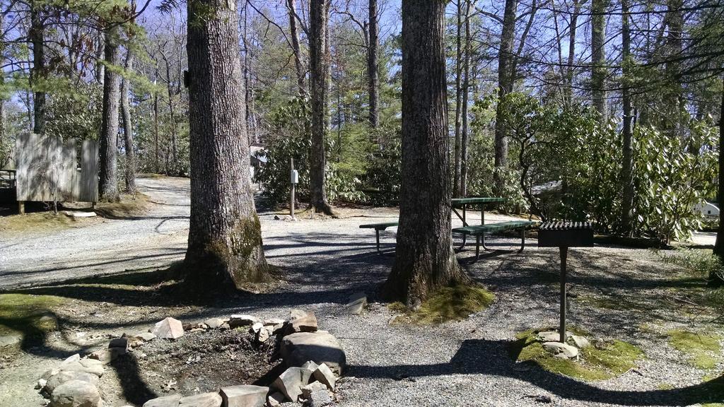 Linville Falls Campground, Rv Park, And Cabins Eksteriør bilde