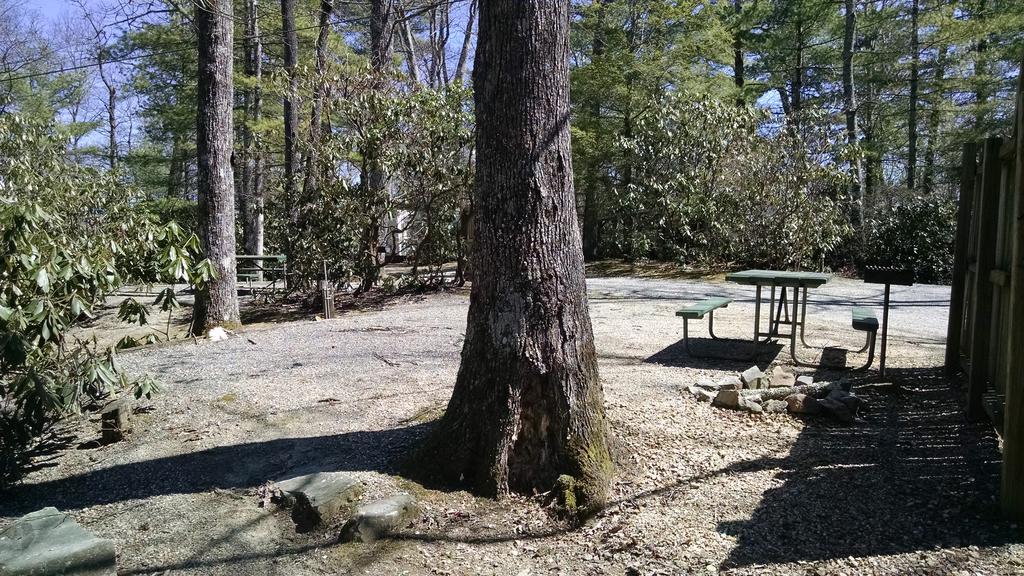 Linville Falls Campground, Rv Park, And Cabins Eksteriør bilde