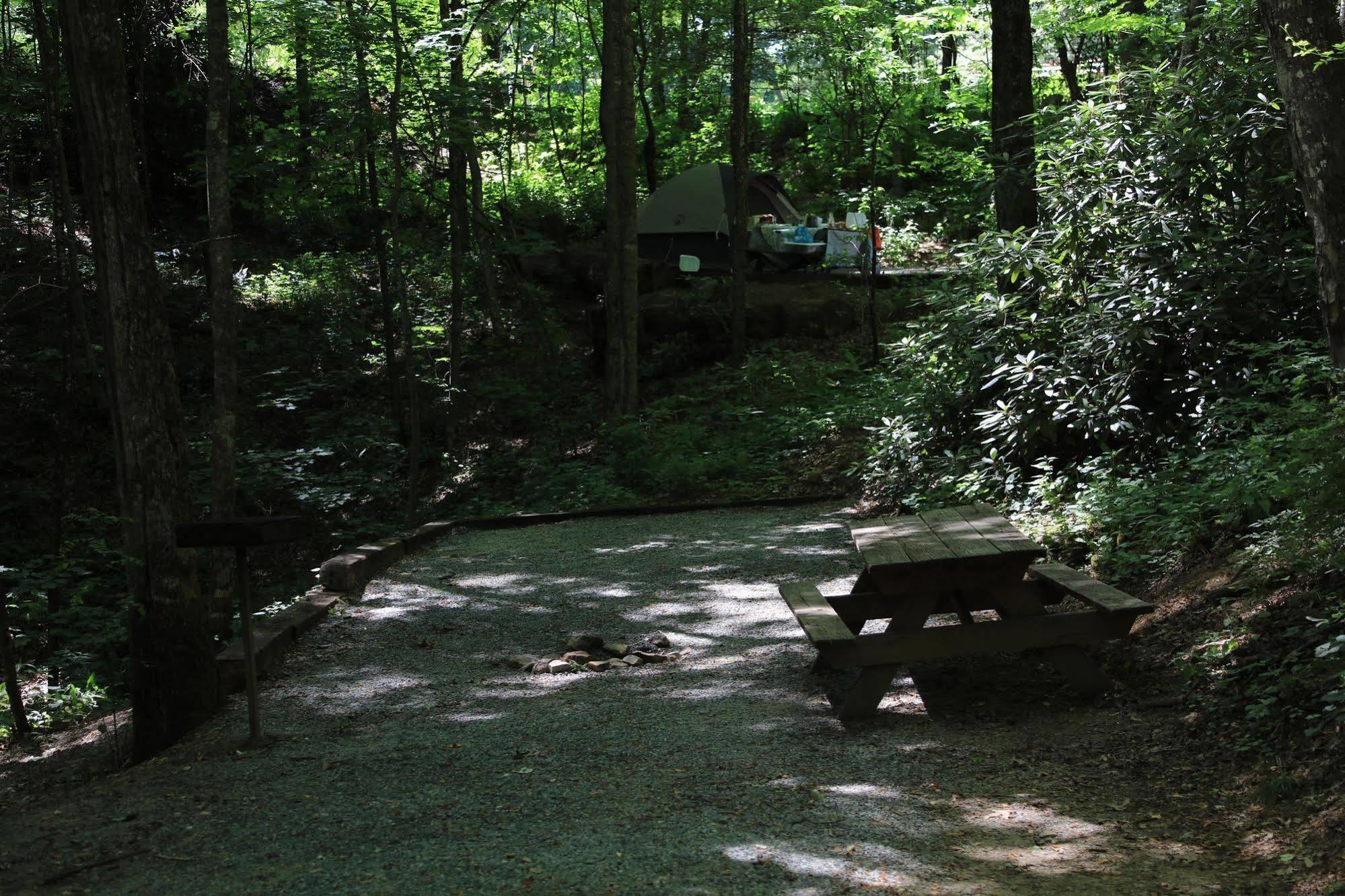 Linville Falls Campground, Rv Park, And Cabins Eksteriør bilde
