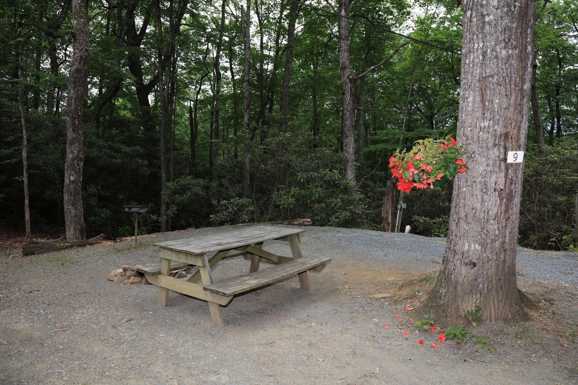 Linville Falls Campground, Rv Park, And Cabins Eksteriør bilde